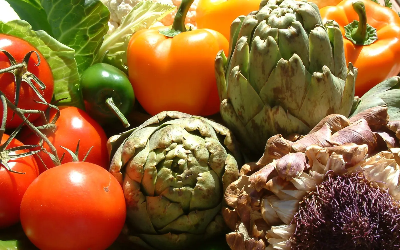 Hortalizas de la huerta de Murcia
