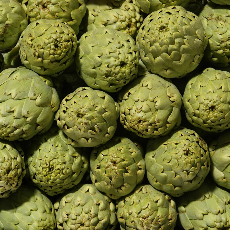 Alcachofa